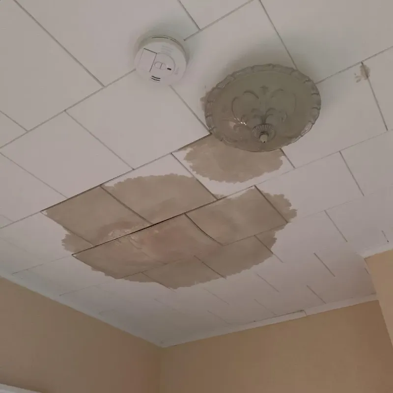 Ceiling Water Damage Repair in Blue Springs, MO