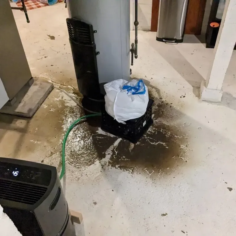 Sewage Backup Cleanup Service in Blue Springs, MO